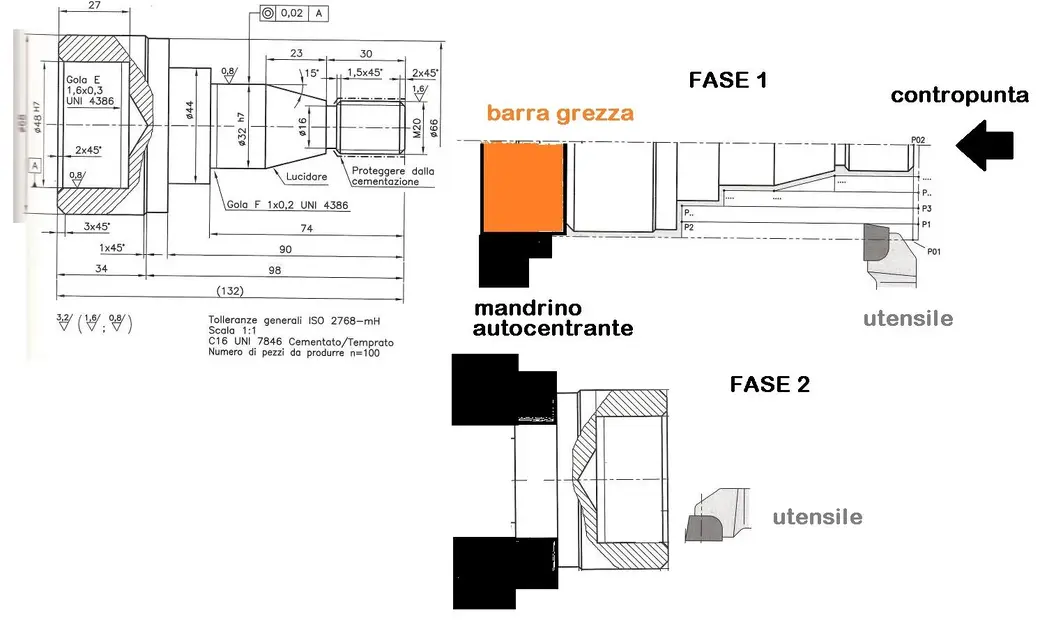 albero 1.webp