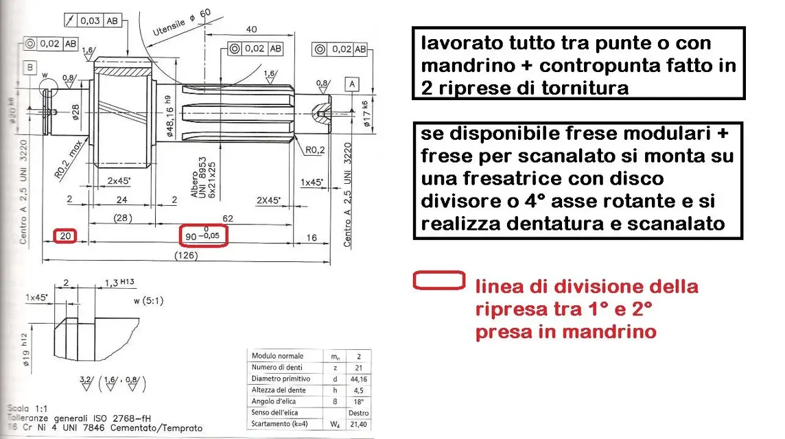 albero 2.webp