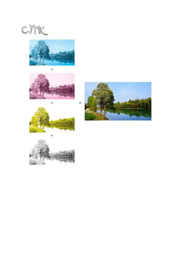 canale alpha_01.webp