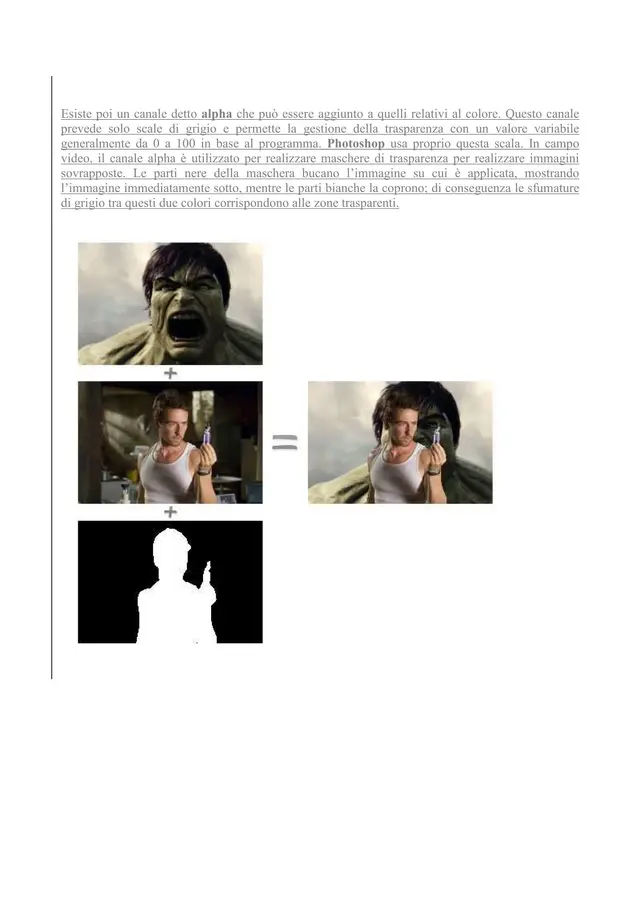 canale alpha_02.webp