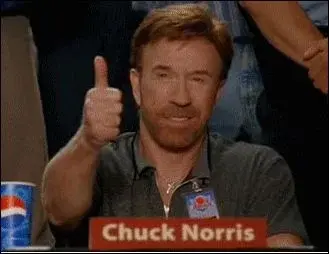 3885-chuck-norris-approved.webp