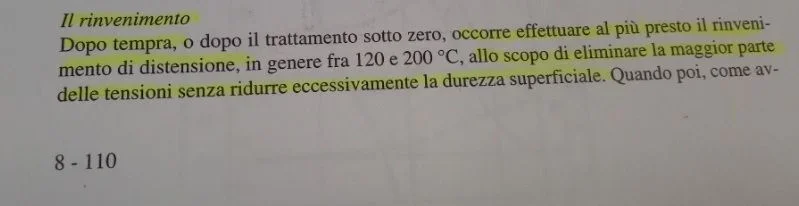Immagine.webp
