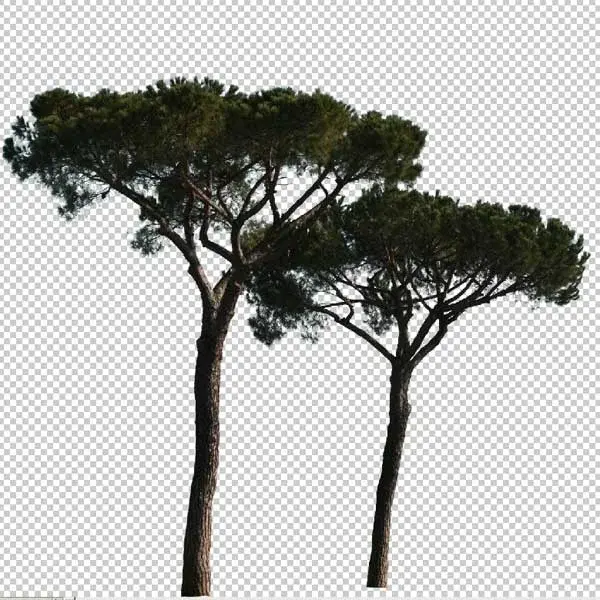 vyonyx_tree_029_icon.webp