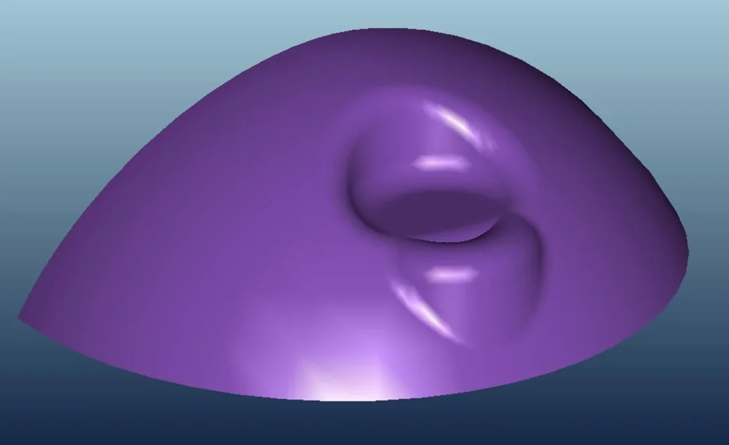 borchia_shading.jpg