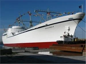 NS Savannah.jpg