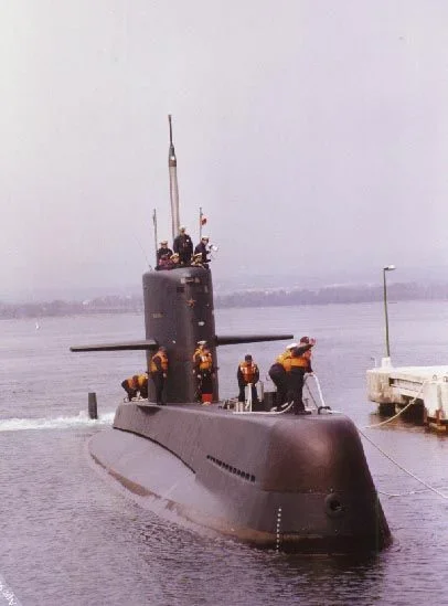 sauro7.jpg