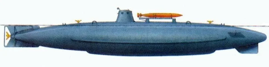 delfino 2.jpg