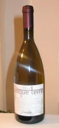 bottiglia_vinocinqueterre.jpg