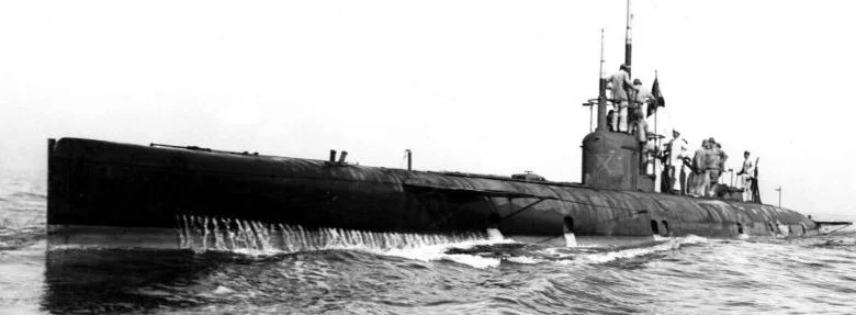 argonauta1.jpg