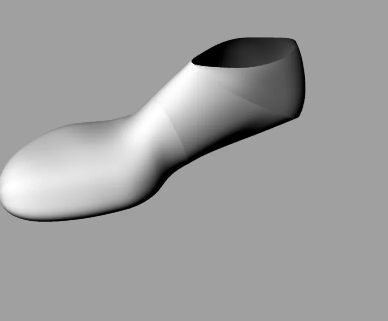 Racc.Scarpa 1.jpg