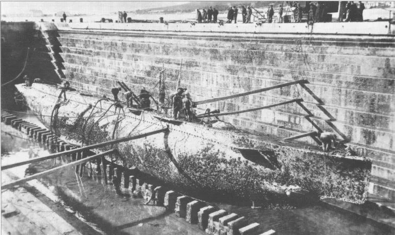 3- Pullino.jpg