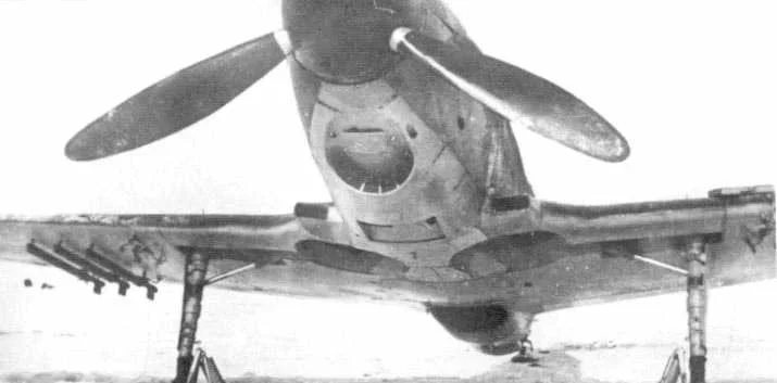 LAGG3-27.jpg