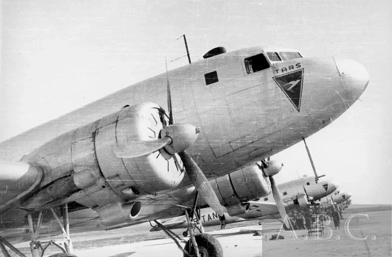 li2tarsyl2.jpg