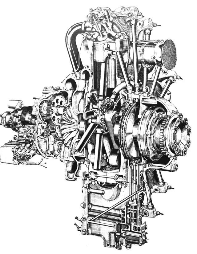 pw_r-1690_hornet-01.jpg