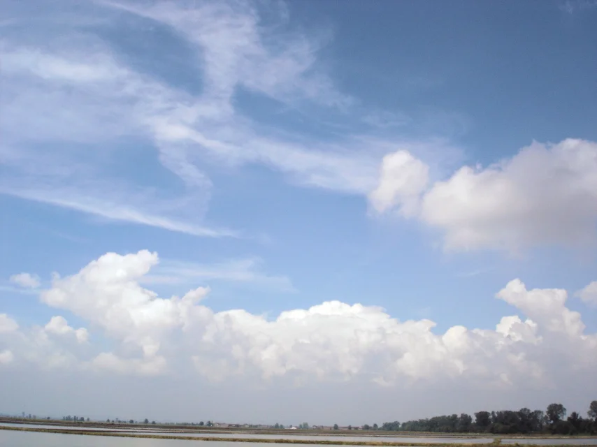 DSC02681a.JPG