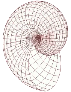 nautilus-01.gif