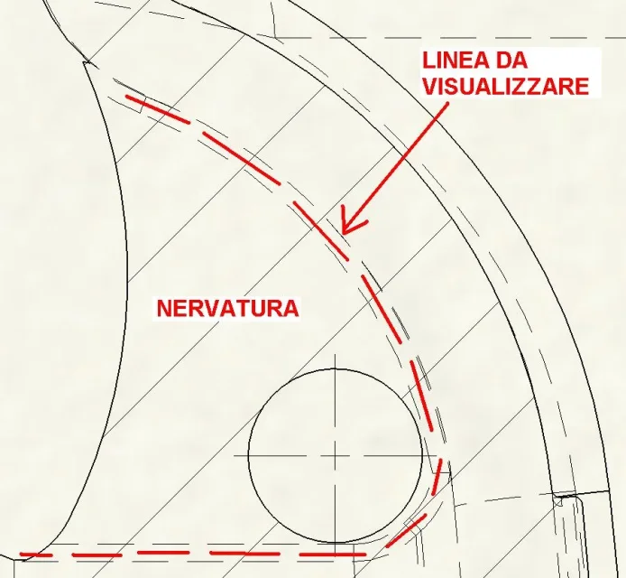 NERVATURA.JPG