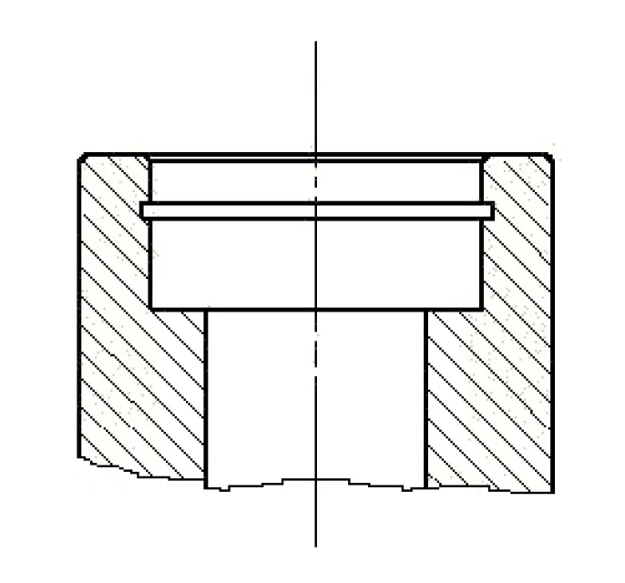 particolare 2.png particolare 2.png