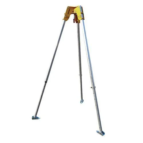 AIG2108451.jpg