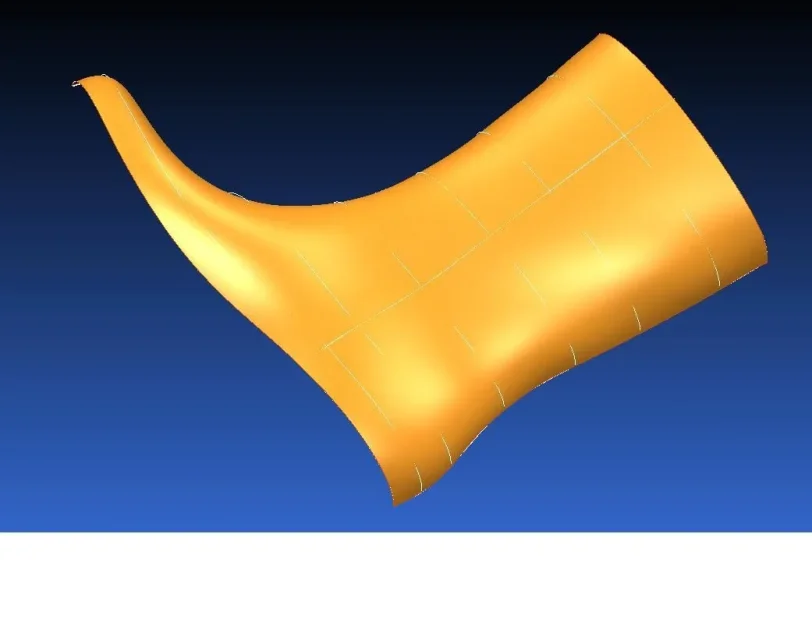 botacheksrf.JPG
