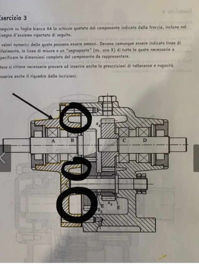 5053947B-D94C-4938-B3EF-7F824B56986D.jpeg