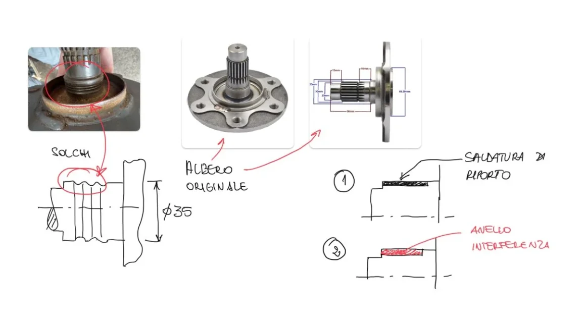 albero_Kubota.jpg