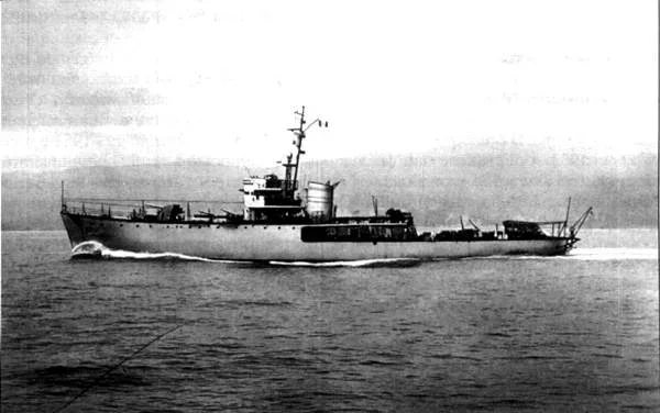 Gabbiano.jpg