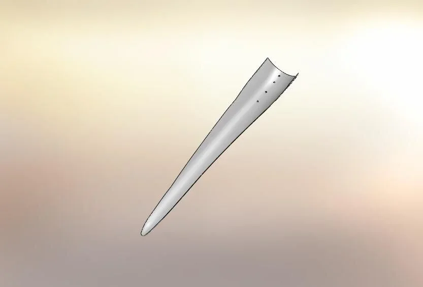 figura1.jpg