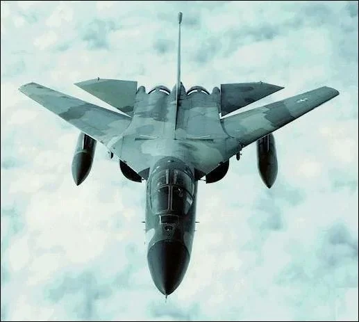 F111pic (824-5).jpg