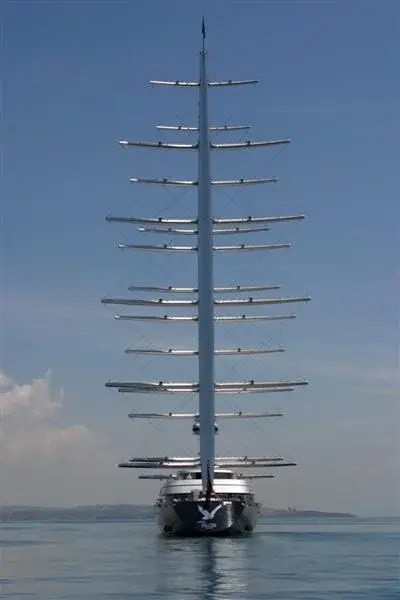 maltese falcon.jpg