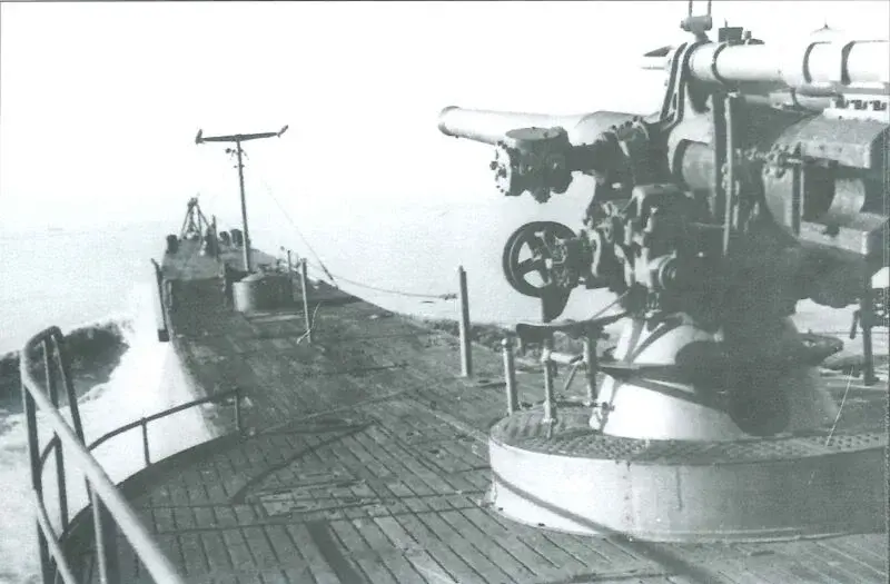 Smg MICCA.jpg