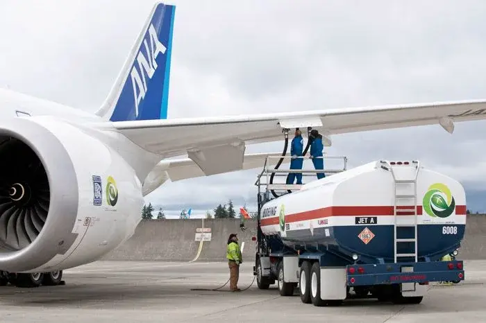 787.jpg