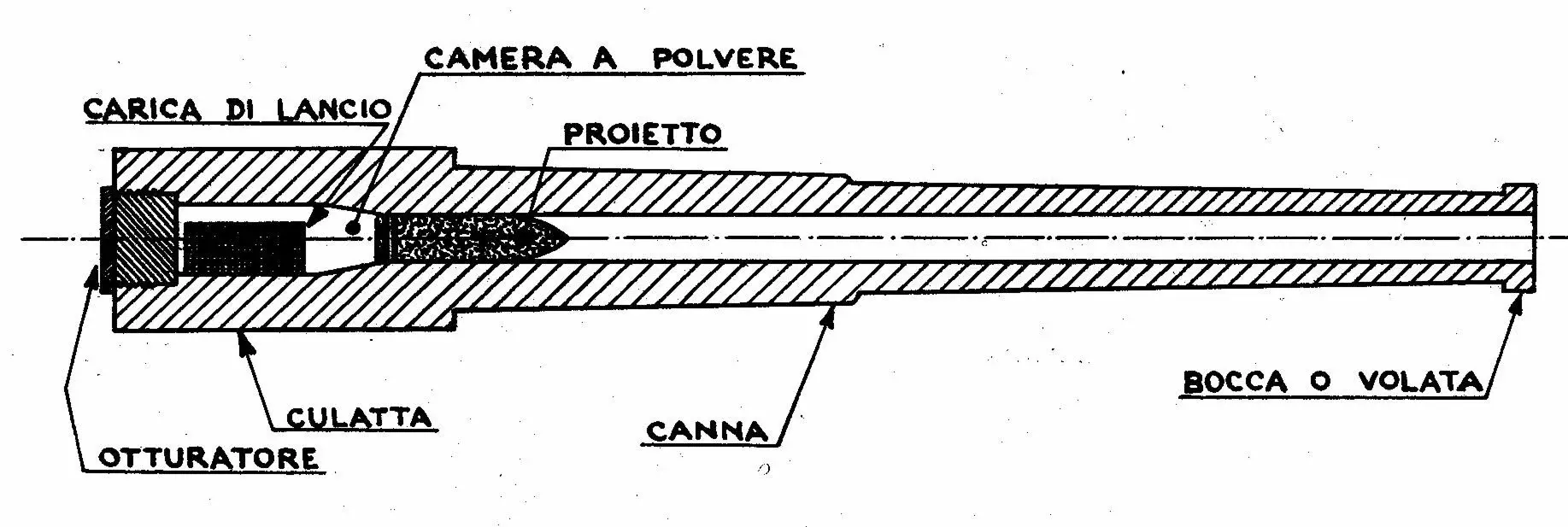 caricamento.jpg