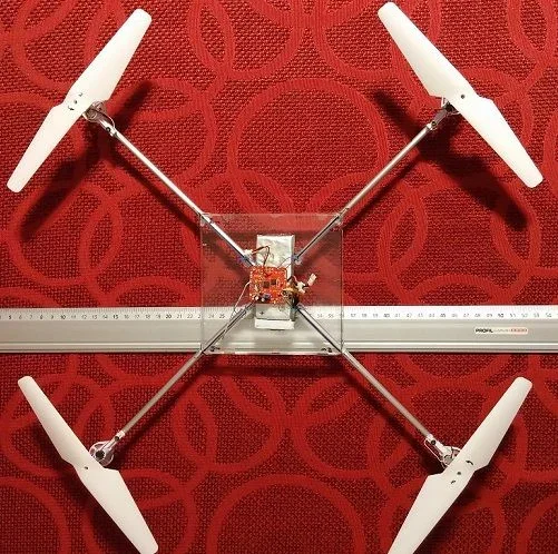 44cm.jpg