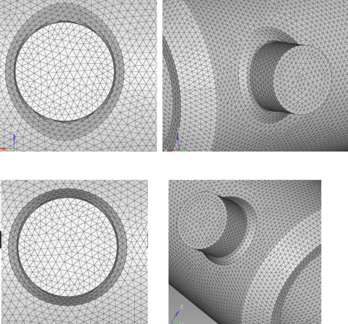 Dettaglio mesh perni.png
