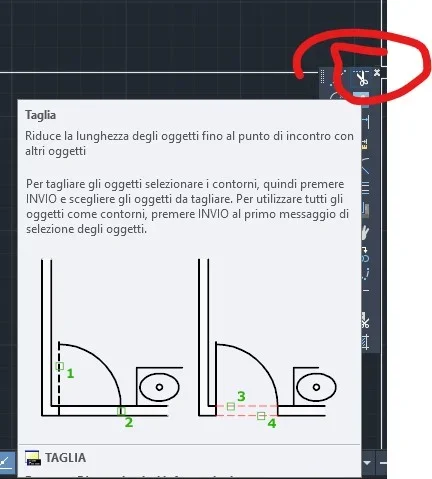 Taglia.jpg